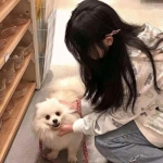 精灵盛典黎明华为版下载